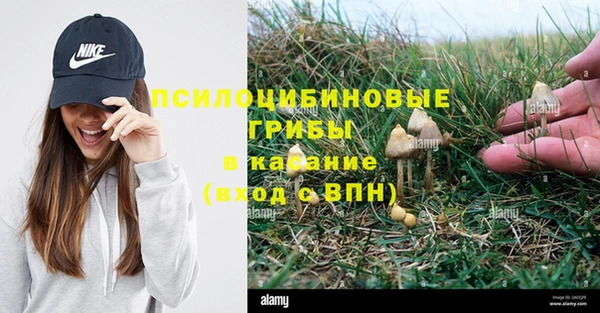 гидропоника Дмитриев