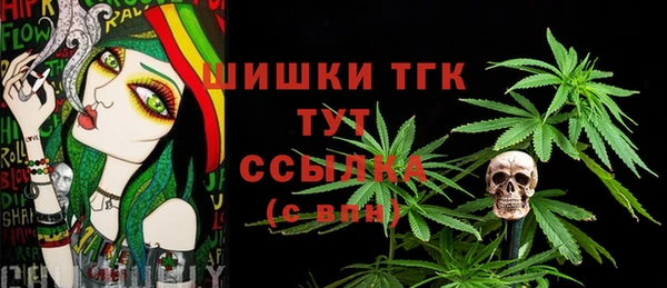 гидропоника Дмитриев