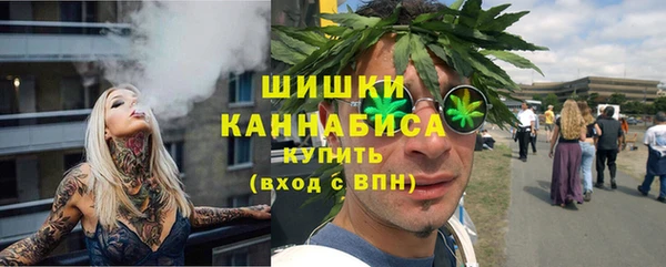 гидропоника Дмитриев